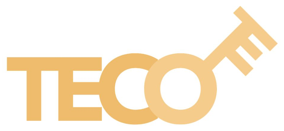 TECO — Texas Energy Consulting